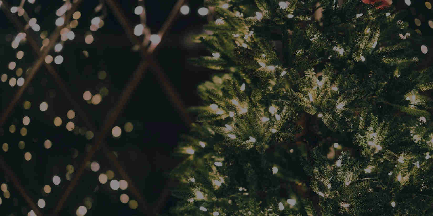 inliten - lighting company - christmas lights 2