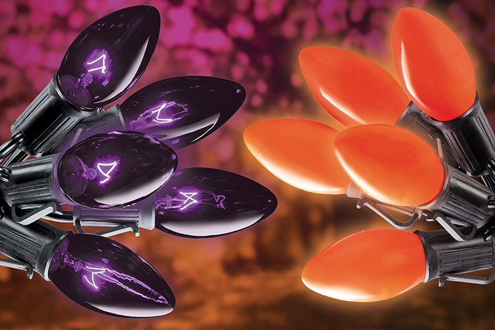 C7C9G40G50halloween_6x4-720×480
